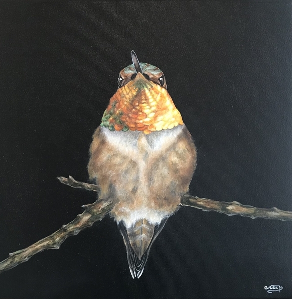 RUFOUS